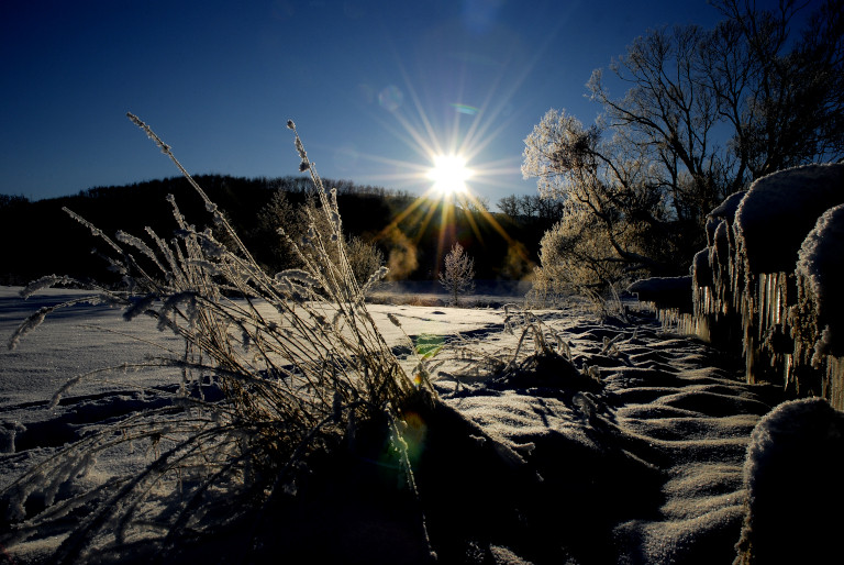 schön kalter wintermorgen