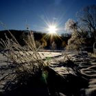 schön kalter wintermorgen