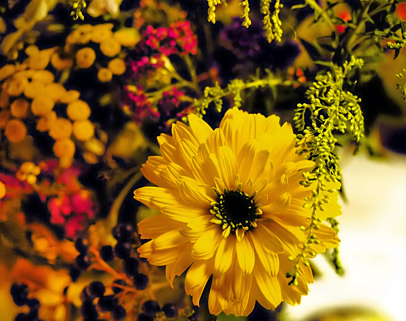 Schön langsam müssen wir uns von den blumen die für uns heuer gewachsen sind - verabschieden