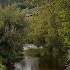 Schön natürlich geblieben - Die Ahr in Ahrweiler 