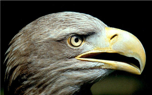 Schön still halten.......Danke :-)