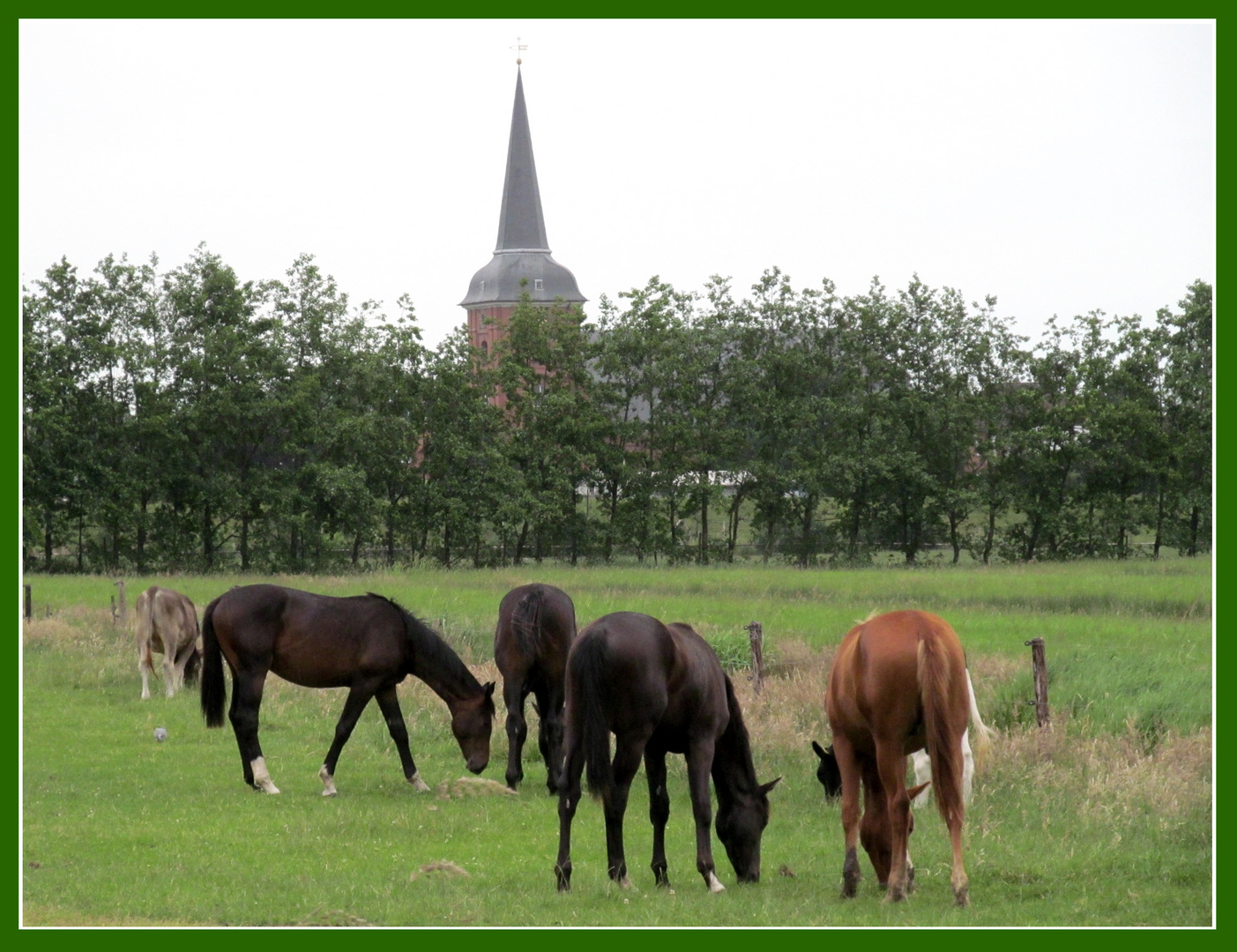 schön und wild ............