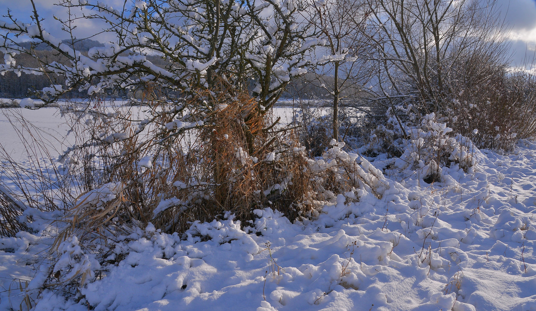 schön verschneit