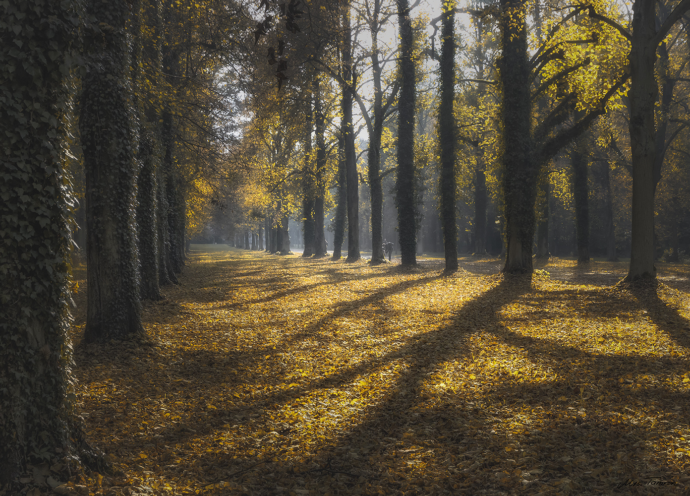 schön war der Herbst -Teil I ...