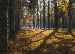schön war der Herbst -Teil I ...