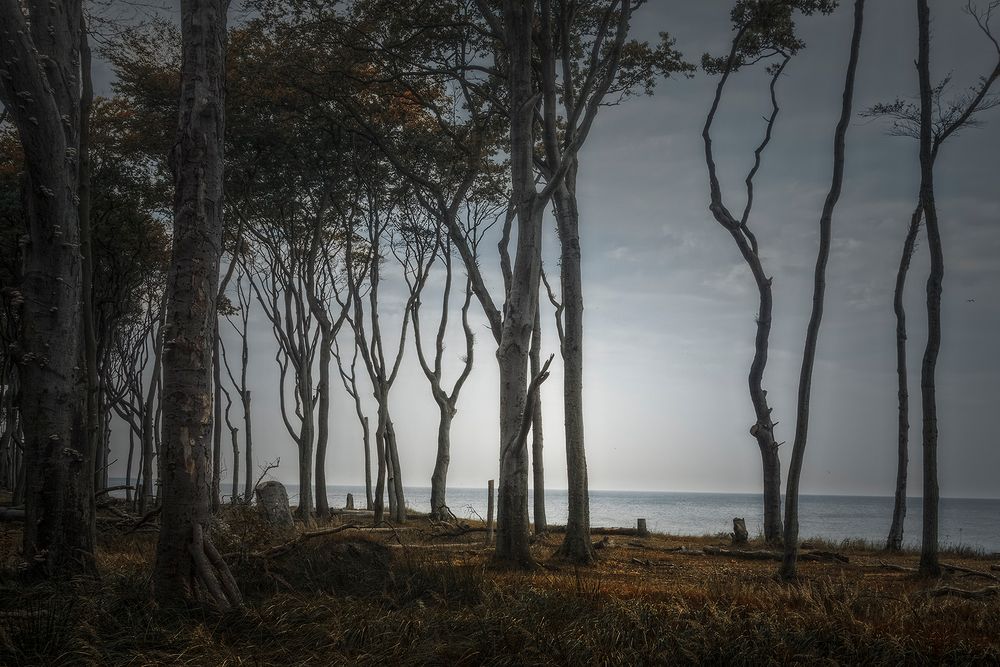 schön war der Herbst - Teil III