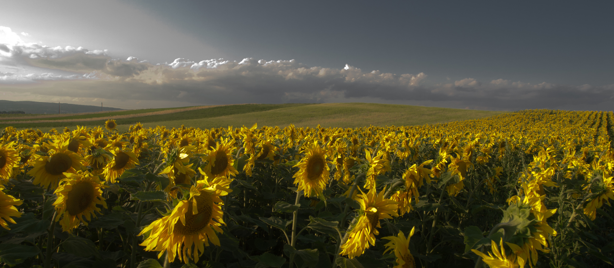 schön war der sommer