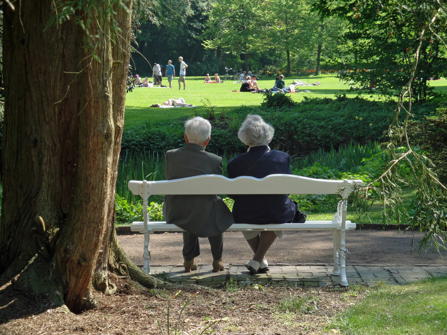 schön war die Jugendzeit. Foto & Bild archiv, a r c h i v aktuell
