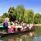 Schön war die Kahnpartie im Spreewald....