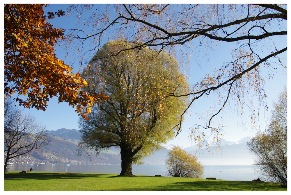 schön war er, der Herbst