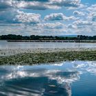 Schön war es am Seeburger See 