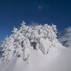 Schön warm zugedeckt