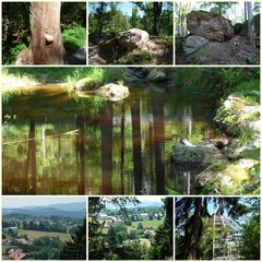 schön war`s heut im Bayr. Wald..