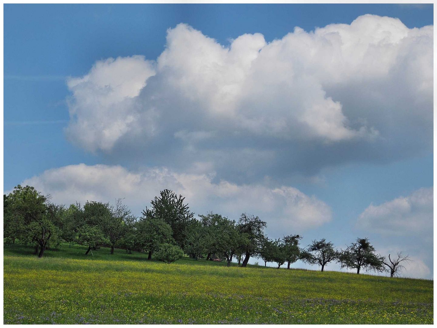 Schön-Wetter-Wolke