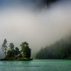 Schönau am Königssee (Berchtesgadener Land) - Insel im Nebel