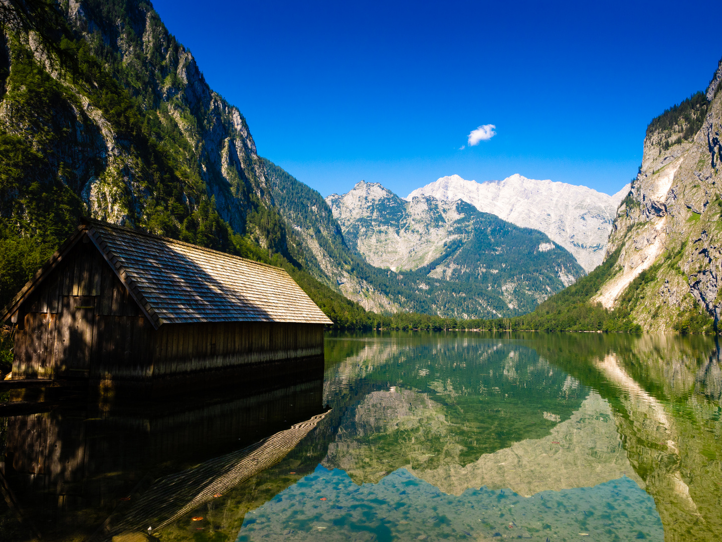 Schönau am Königssee (Nationalpark Berchtesgaden) - Blick vom Obersee auf die Alpen