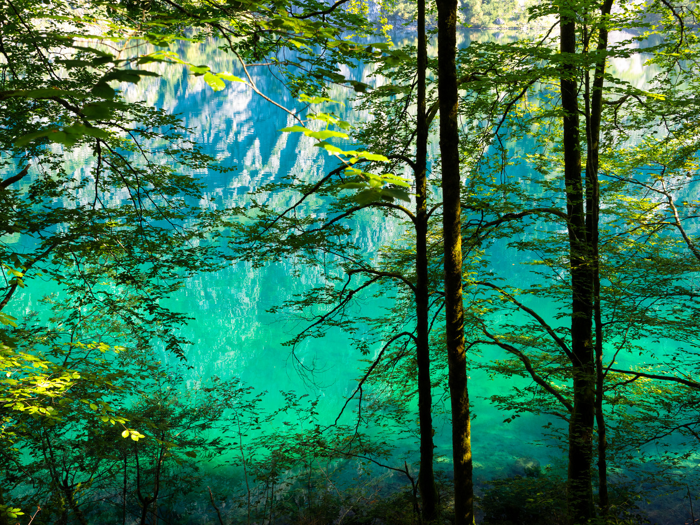 Schönau am Königssee (Nationalpark Berchtesgaden) - Obersee