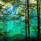 Schönau am Königssee (Nationalpark Berchtesgaden) - Obersee