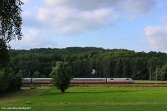 Schönau (Hörsel), Juli 2013 (2)