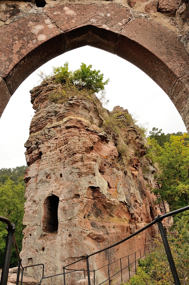 Schönau Rundtour über drei Burgen: