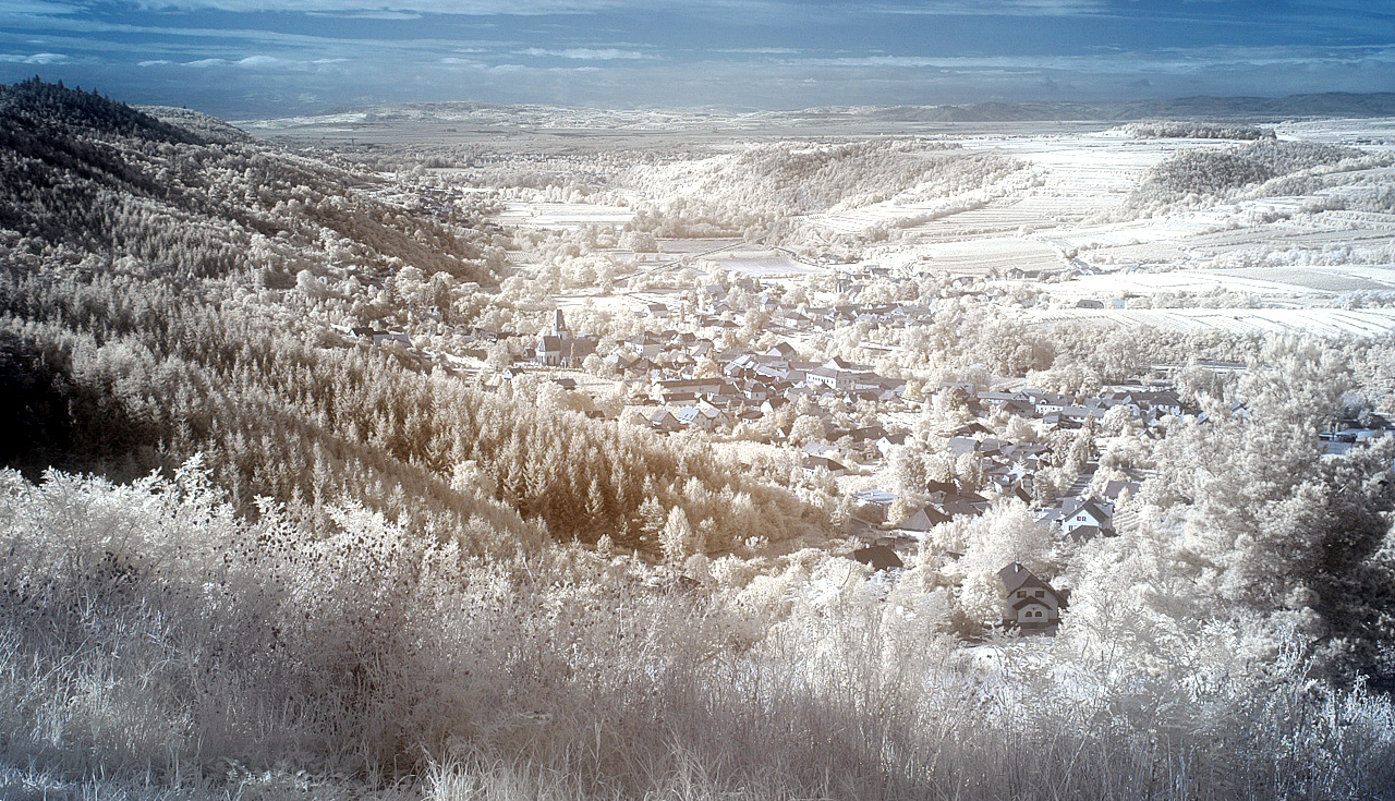 Schönberg am Kamp, Niederösterreich