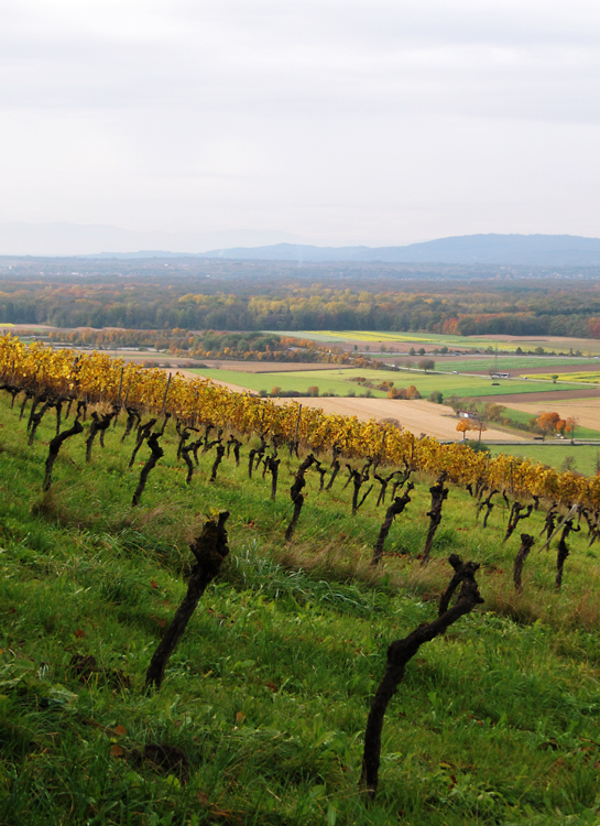 Schönbergblick