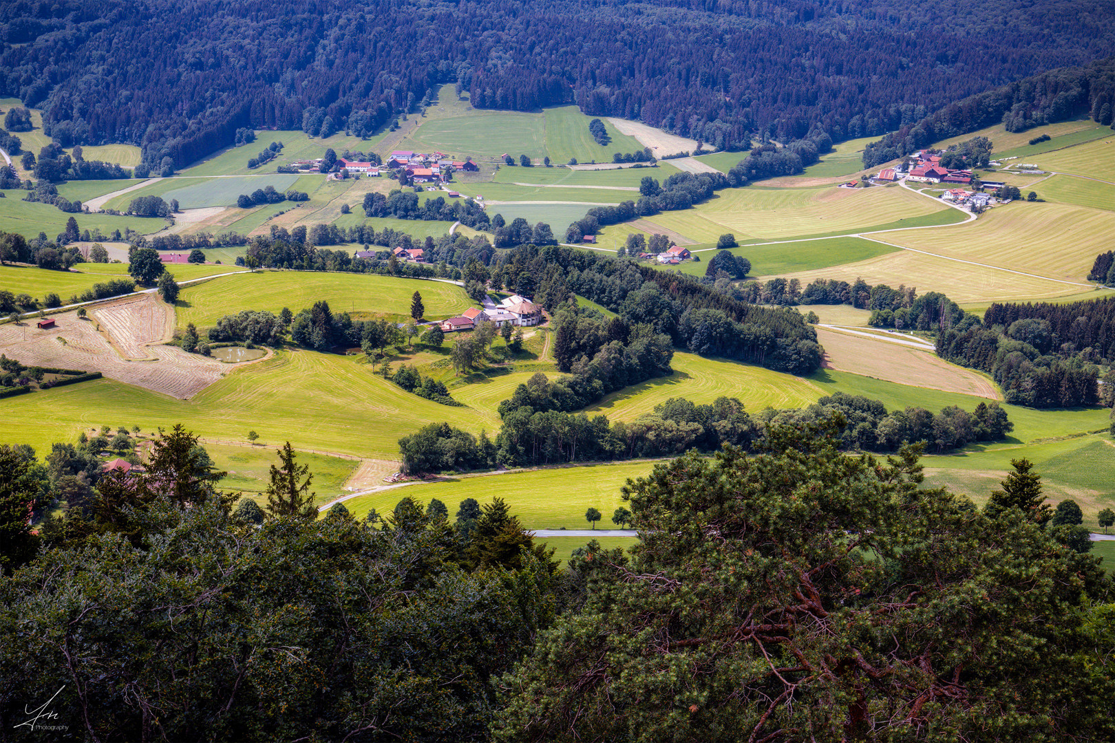 Schönberger Hinterland vom Aussichtsturm aus.