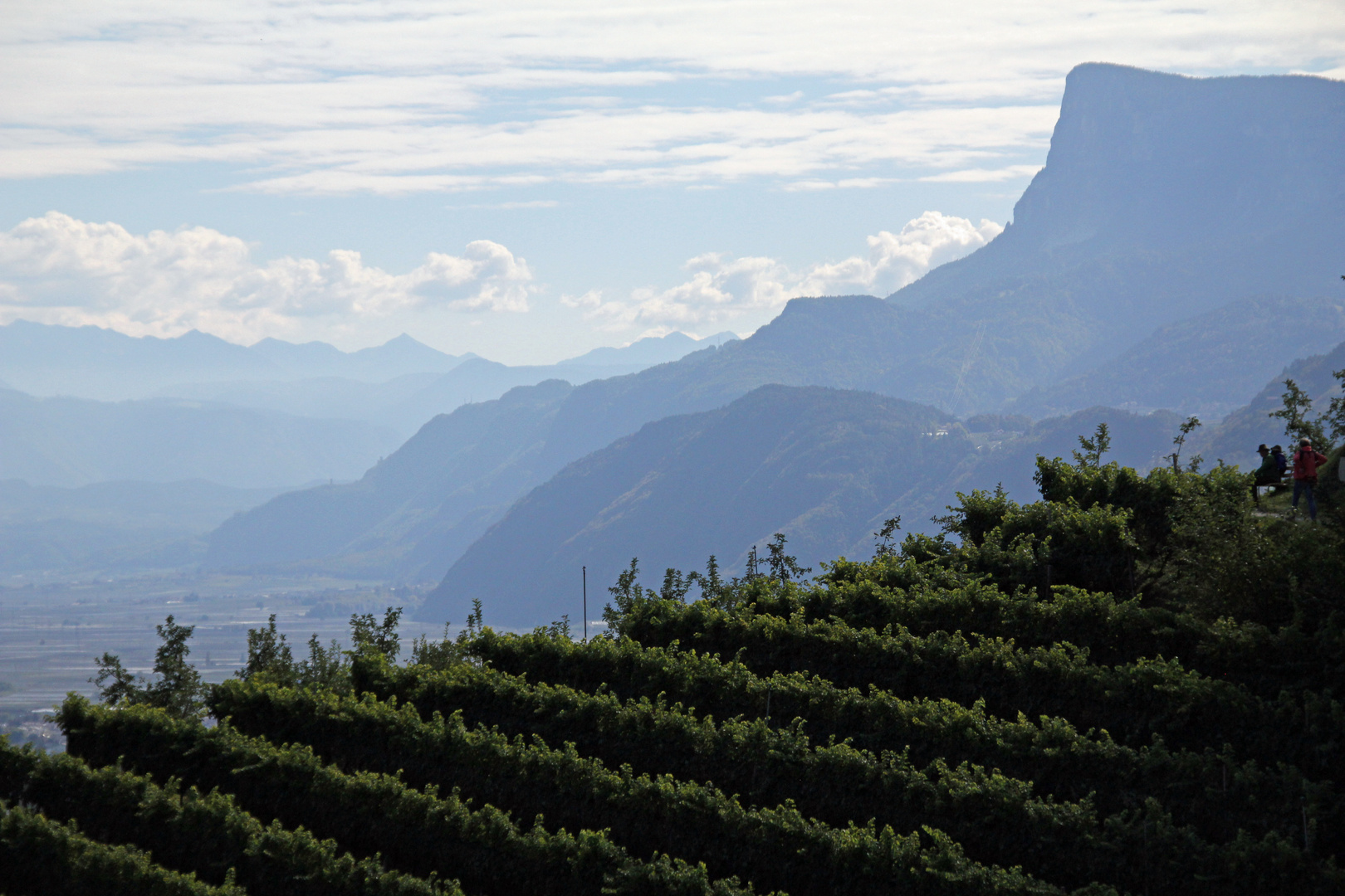 Schönblick