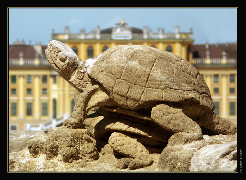 Schönbrunn 01 . . . . . [ turtlesex ]