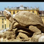 Schönbrunn 01 . . . . . [ turtlesex ]