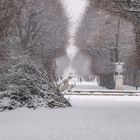 Schönbrunn