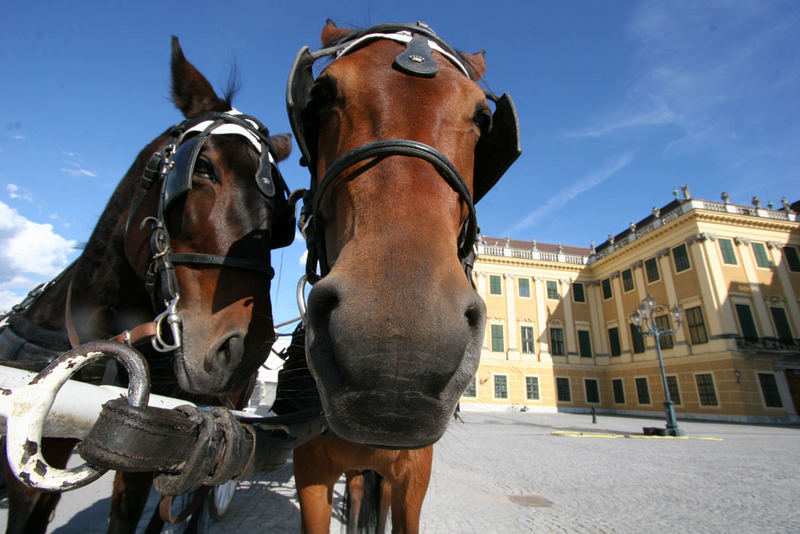 Schönbrunn