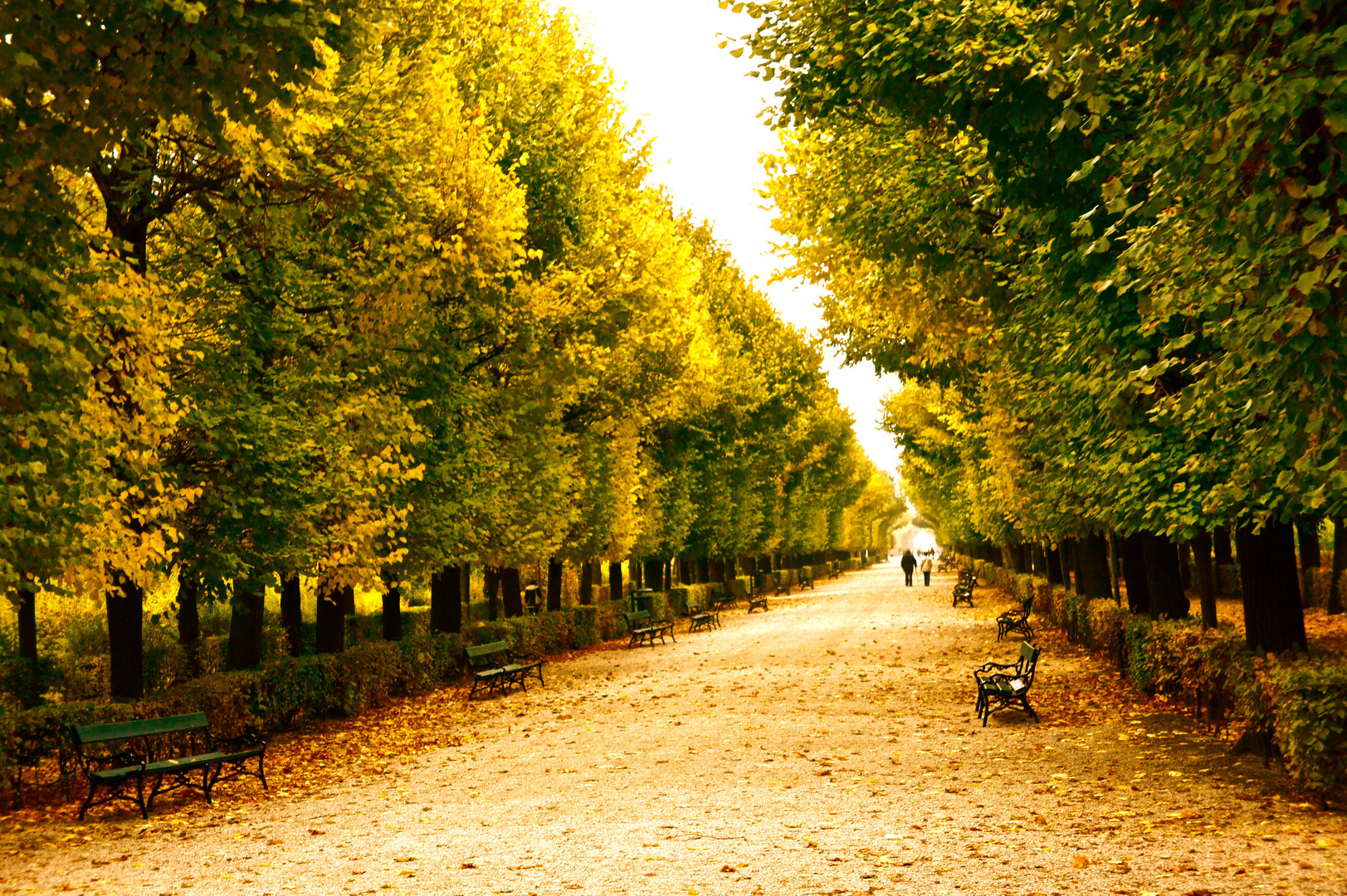 Schönbrunn Allee Wien