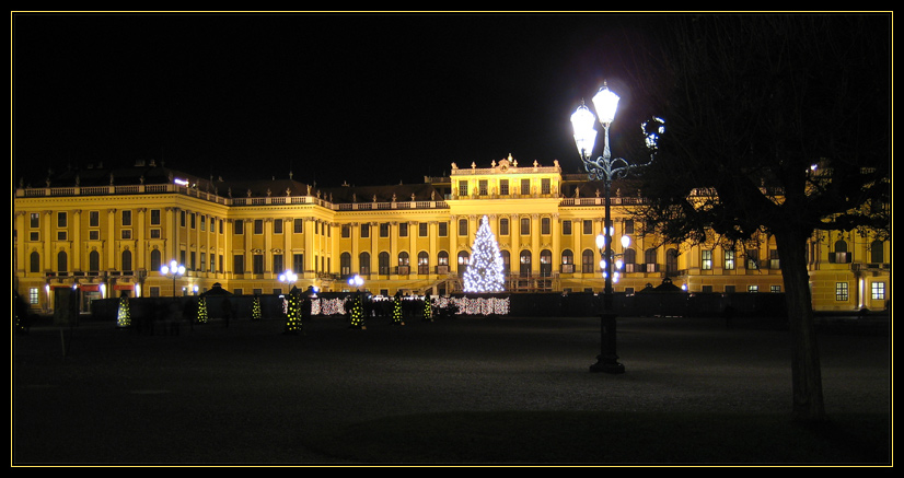 Schönbrunn bei Nacht mit Weihnachtsbaum