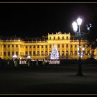 Schönbrunn bei Nacht mit Weihnachtsbaum