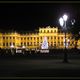 Schnbrunn bei Nacht mit Weihnachtsbaum