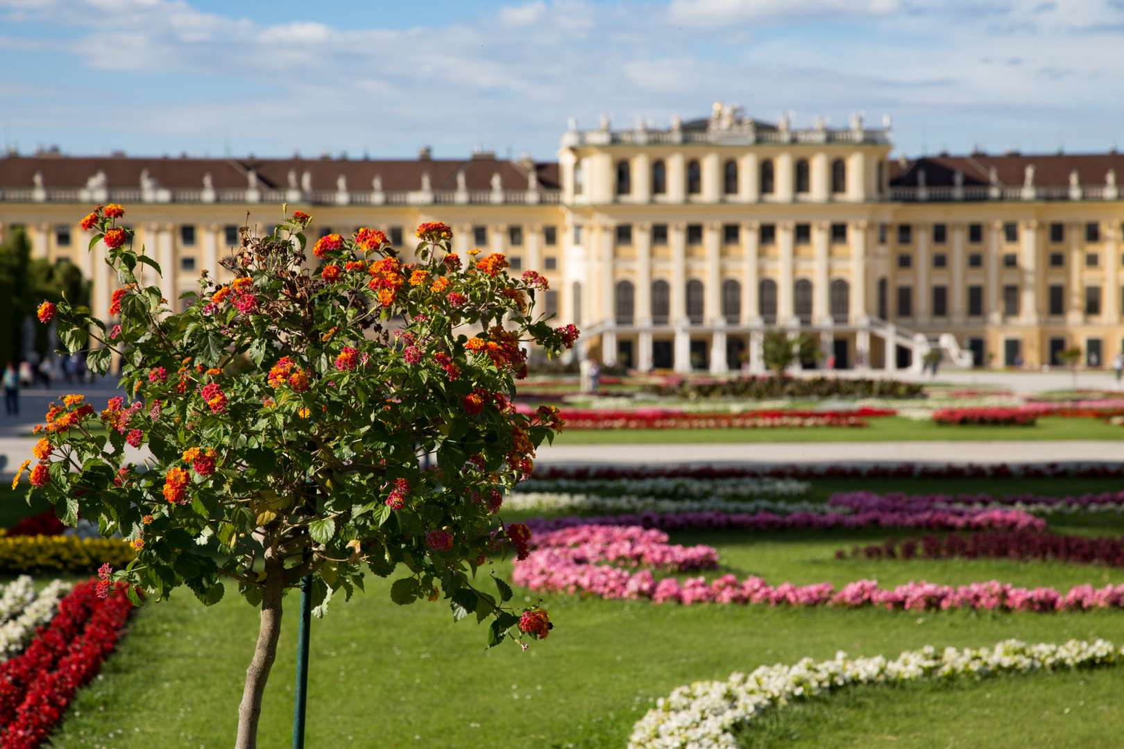 Schönbrunn