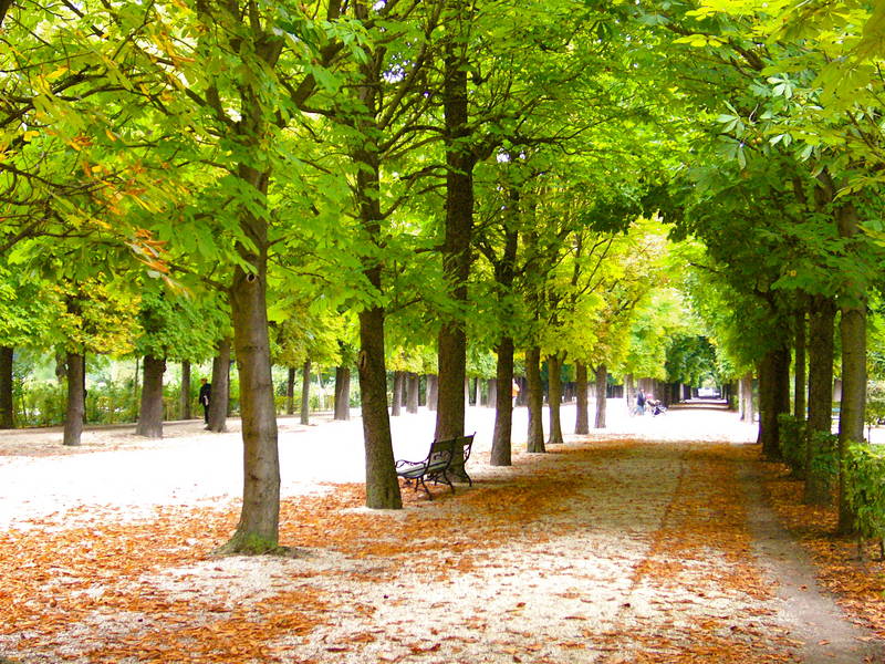 Schönbrunn