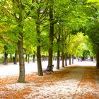 Schönbrunn