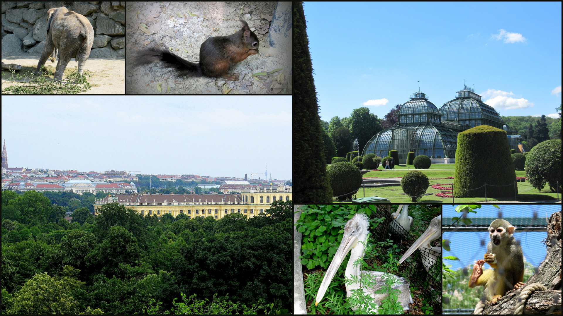 Schönbrunn