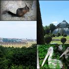 Schönbrunn