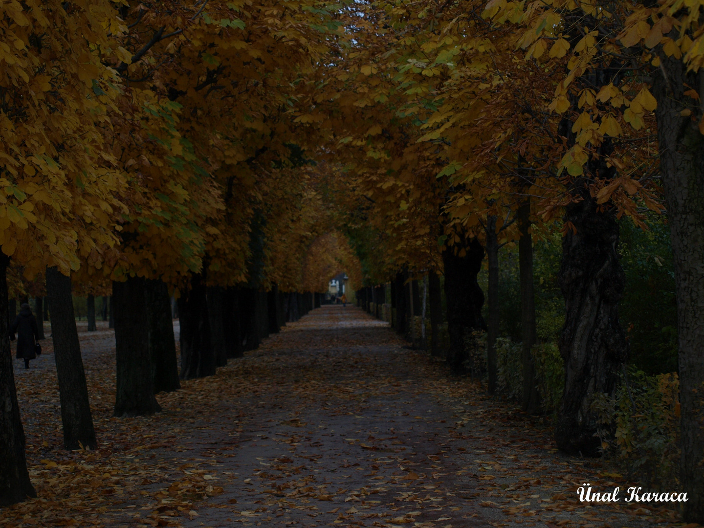 Schönbrunn