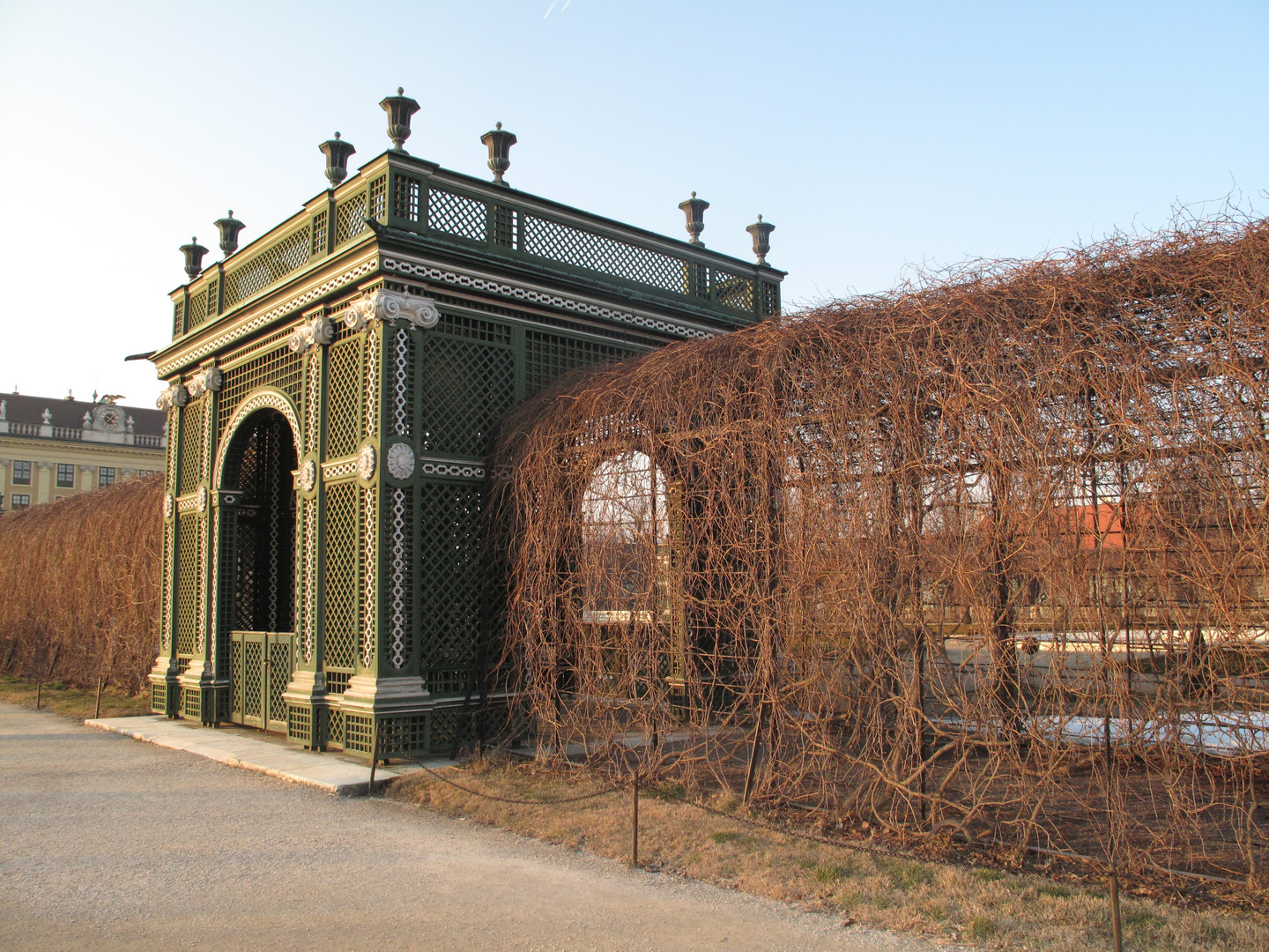 Schönbrunn Gartenlaube 1