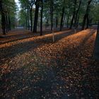 Schönbrunn im Herbst