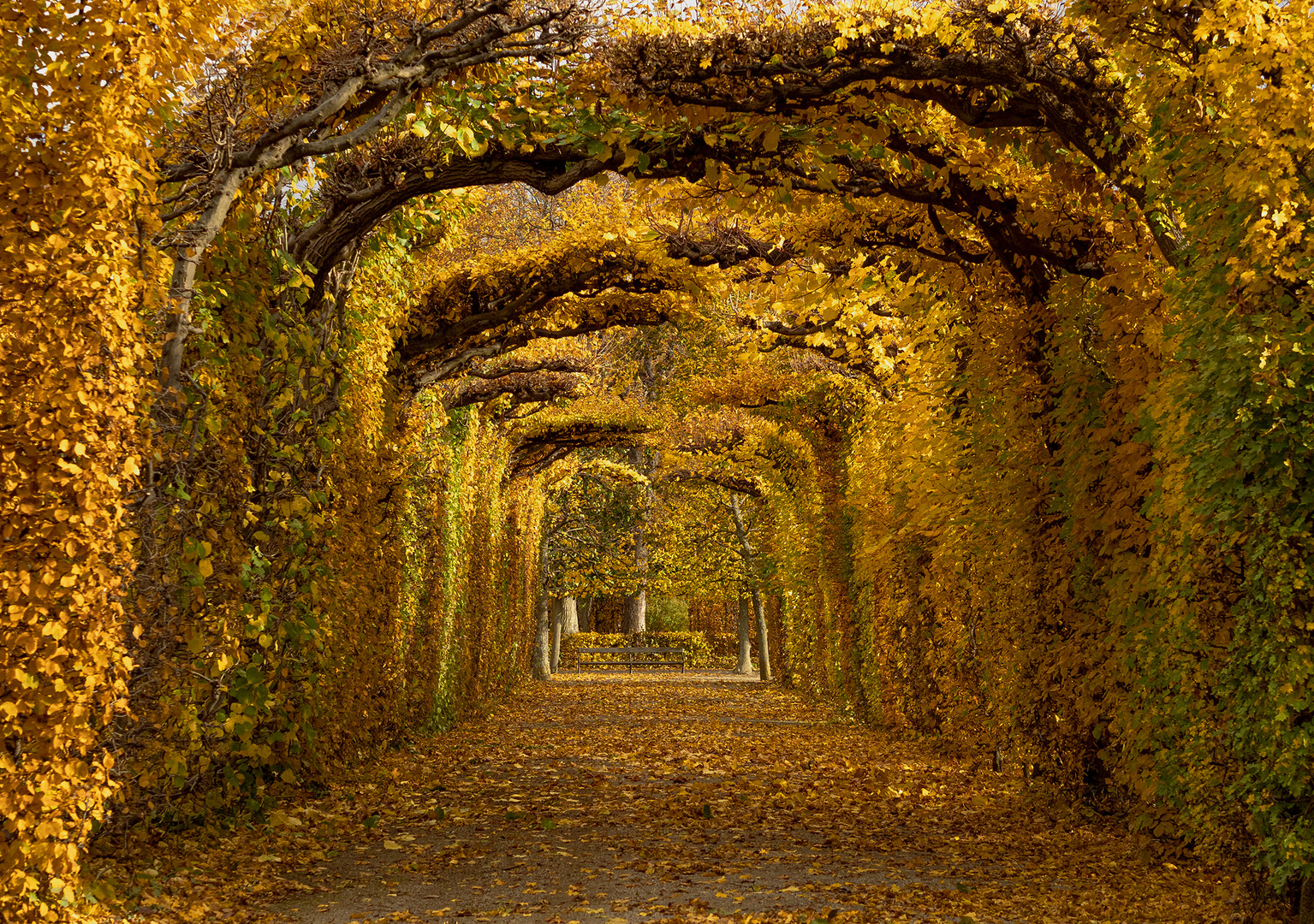 Schönbrunn im Herbst