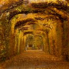 Schönbrunn im Herbst