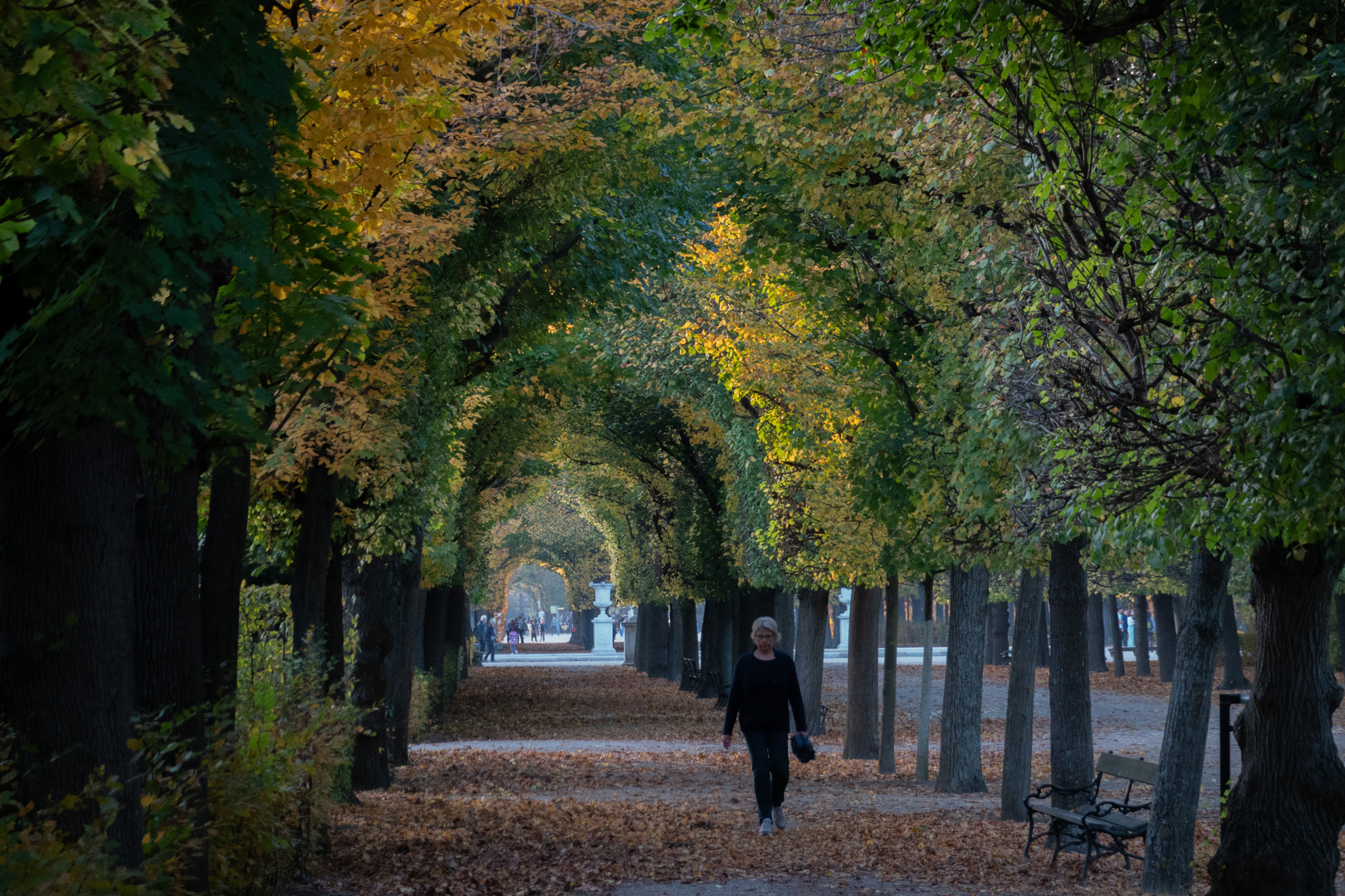 Schönbrunn im Herbst