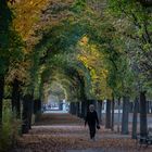 Schönbrunn im Herbst