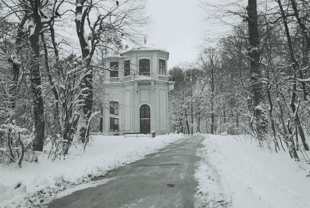 Schönbrunn im Winter_5