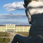 Schönbrunn ist immer wieder schön, besonders bei diesem Wetter!